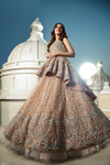 Pakistani Wedding Dress In Peach Color