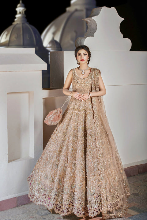 Bridal Pakistani Dress (Stella)