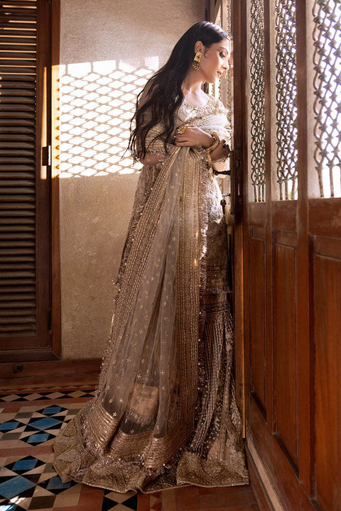  Pakistani Wedding Gharara 