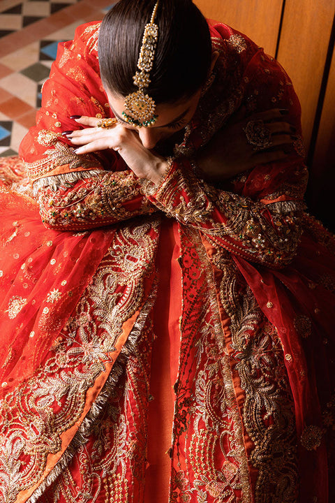 Pakistani Wedding Dress