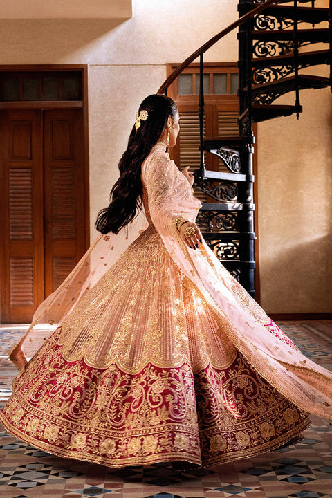 Pakistani Premium Wedding Dress In Pink