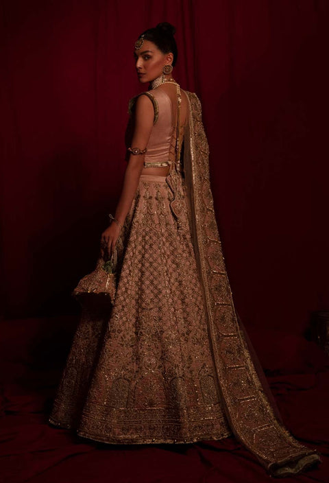 Pakistani Bridal Lehenga Choli Dupatta tea pink Dress 