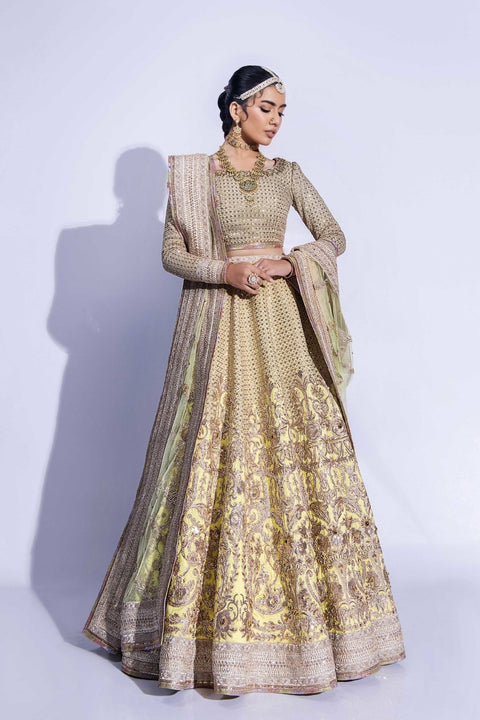  Lehenga Choli Dupatta