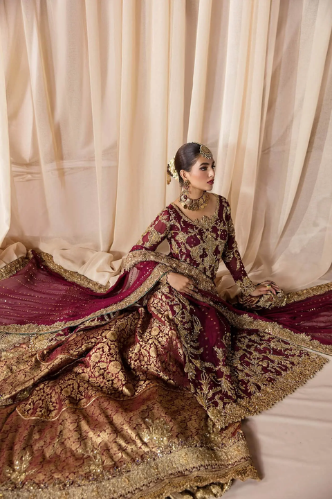 Red Traditional Pakistani Wedding Dresses (JAAN E ADAA)
