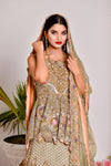 Designer Lehenga Choli Pakistani Bridal Dress