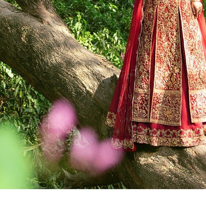 Traditional Pakistani Bridal Red Dress