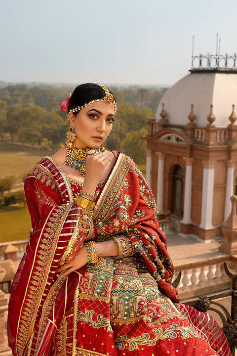 Red Lehenga Choli Pakistani Bridal  Dress