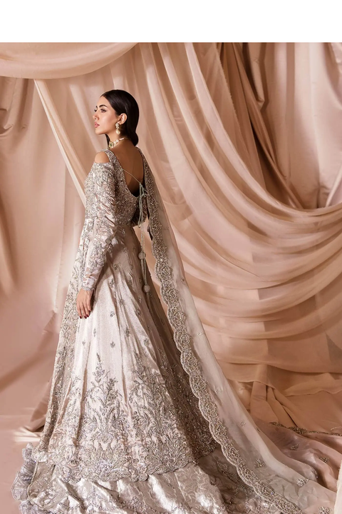 Pakistani Wedding Dress