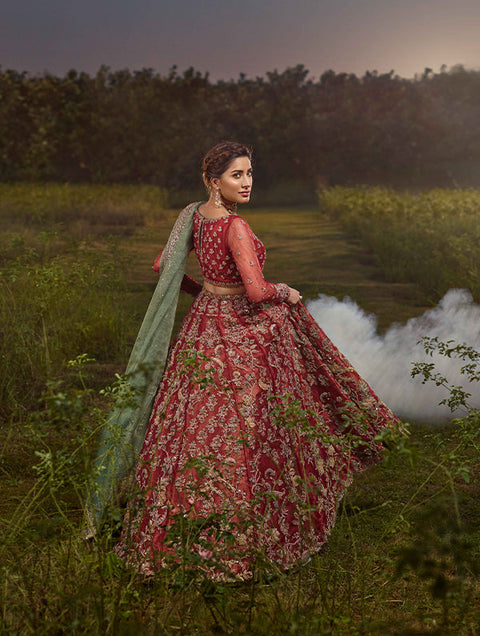 Pakistani Erdding Dress Lehnga Choli Style