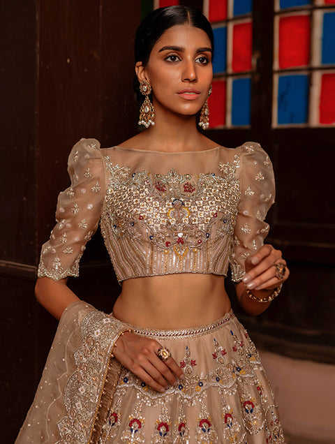 Handcrafted Pakistani Bridal Dress In Lehnga Choli Style