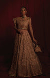Pakistani Bridal Lehenga Choli Dupatta tea pink Dress 