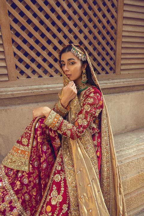 Pakistani Wedding Dresses Red Kameez and Red Lehenga
