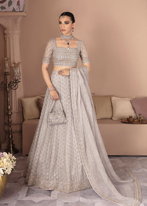 Grey Lehenga Choli Pakistani Wedding Dress