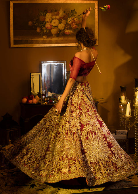 Pakistani Bridal velvet Wedding Dress 