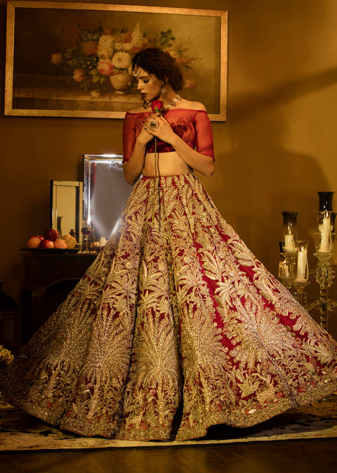 Pakistani Bridal luxurious Wedding Dress Velvet Lehenga and choli