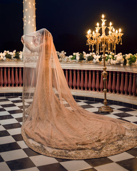 luxurious Heavy Long Tail Walima Maxi 
