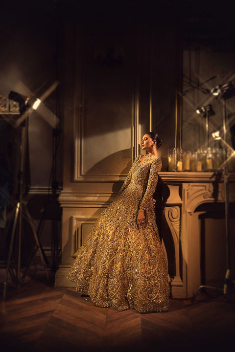 Pakistani Bridal Tail Gown