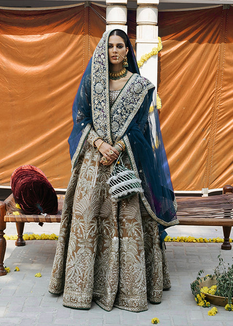 Traditional Pakistani Wedding Dress Lehnga Choli Style