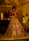 Pakistani Bridal luxurious Wedding Dress Velvet Lehenga and choli